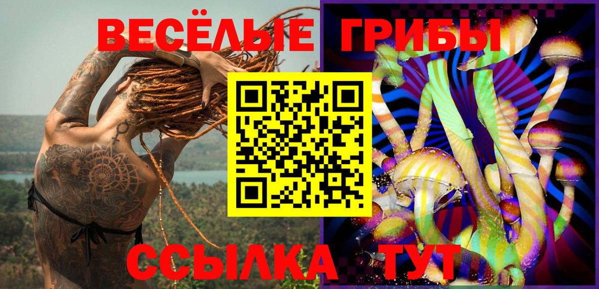 Ирбит  наркошоп  Вход с VPN  Галлюциногенные грибы прущие грибы 